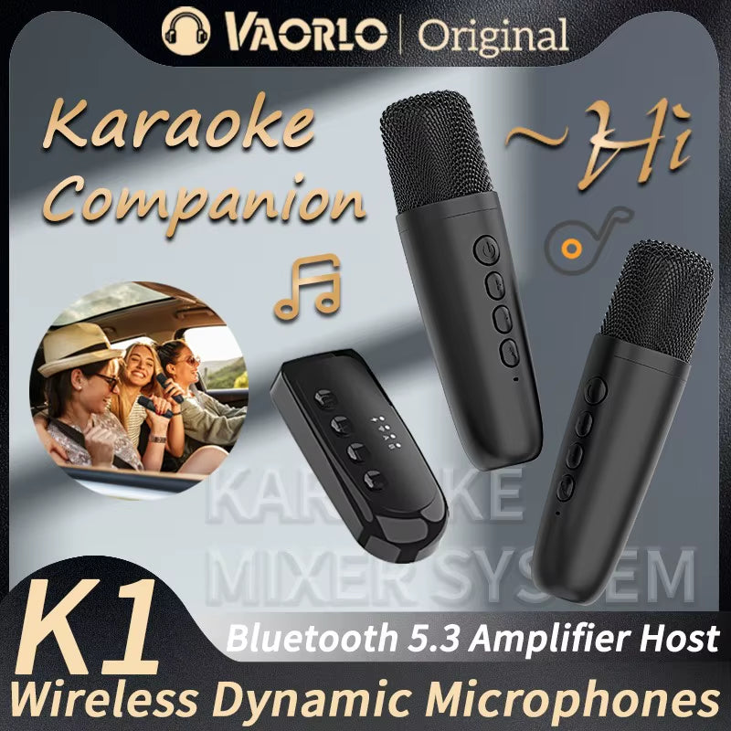 Wireless Karaoke Companion Bluetooth 5.3 Dynamic Microphone KTV DSP Mixer System 3.5MM AUX Type-C Amplifier Host for Speaker Car